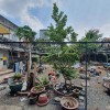 Bán đất mặt tiền Linh Đông , Thủ Đức, 1127m2, full thổ cư, Ngang khủng gần 26m, Gía chỉ 70  Tỷ TL