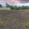CHÍNH CHỦ BÁN GẤP LÔ ĐẤT 500m2 GIÁ TỐT – NGAY KHU VUI CHƠI TRẺ EM SUNKIDS, Xã Long Trạch,  Cần Đước