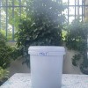 VỎ THÙNG SƠN 15L, SỈ VÀ LẺ TOÀN QUỐC, HÀNG SẴN KHO