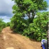 BÁN 2009M2 ĐẤT TỔ 32 THỊ TRẤN LIÊN NGHĨA ĐỨC TRỌNG LÂM ĐỒNG