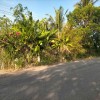 CHÍNH CHỦ CẦN BÁN LÔ ĐẤT CÓ VỊ TRÍ ĐẸP TẠI PHƯỜNG  KHÁNH HẬU - TP. TÂN AN - LONG AN.