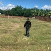 CHÍNH CHỦ CẦN BÁN TẠI ẤP HÒA THUẬN 2- XÃ TRƯỜNG BÌNH- HUYỆN CẦN GIUỘC- TỈNH LONG AN
