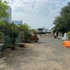 Bán Gấp  3973m2 Đất- Võ Thị Hồi - Xuân Thới Sơn Hóc Môn Chỉ Nhỉnh 10tr/1m2