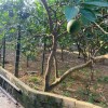 LÔ ĐẤT VỊ TRÍ ĐẸP- GIÁ ĐẦU TƯ CHÍNH CHỦ CẦN BÁN NHANH lô đất tại huyện Chương My, TP Hà Nội