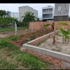 ĐẤT ĐẸP - GIÁ TỐT - Bán GẤP Lô Đất trông cây lâu năm Tại huyện Hóc Môn, TPHCM