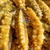 Hải sâm gai vàng