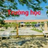 Đất thổ cư chính chủ 5x24m – giá mềm cho người thật việc thật