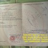 ĐẤT ĐẸP - GIÁ TỐT CHÍNH CHỦ BÁN ĐẤT ĐẸP Tại Thôn 3, Thống Nhất, huyện Bù Đăng, Bình Phước