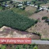 Filhome đất nền Long Tân, Đất Đỏ ngay KCN Đá Bạc sổ riêng, giá rẻ, tiềm năng tăng giá cao
