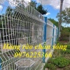 Lưới hàng rào sơn tĩnh điện D4, D5, D6 