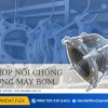 Giá khớp nối chống rung inox, khớp nối mềm inox nối bích, khop noi mem 