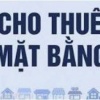 CHUYỂN NHƯỢNG / CHO THUÊ MẶT BẰNG ĐẸP – NGÃ BA TRỪ VĂN THỐ, BÀU BÀNG, BÌNH DƯƠNG
