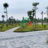 ✅ Bán đất đấu giá X1 Nguyên Khê - 80m - View công viên - Đường rộng 20m
