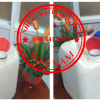 Gía can nhựa 30 lít đựng chất hóa học, can nhựa 25 lít đựng chất tẩy, can 20 lít đựng gel, can 10L d