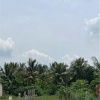 ĐẤT CHÍNH CHỦ - MẶT TIỀN Đường Số 2, Xã Hoà Khánh Đông, Đức Hòa, Long An