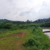CHÍNH CHỦ CẦN BÁN  2,5 ha ĐẤT BÁM SUỐI VIEW SIÊU ĐEP TẠI LƯƠNG SƠN – PHÚ THỌ