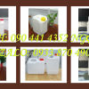Can Nhựa 500ml Chứa thuốc tăng trưởng, bình nhựa 2 lít đựng phân bón loãng 