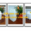 Cung cấp bình nhựa 2 lít trắng, can 5 lít vàng đựng hóa chất bệnh viện