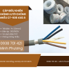 Cáp điều khiển không lưới chống nhiễu CT-500 4x0.5 Huế, Quảng Nam, Khánh Hòa