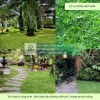 Thi công cây xanh – thảm cỏ công trình tại Đồng Nai, Bình Dương, TPHCM, Vũng Tàu,...