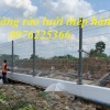 Báo giá thi công hàng rào lưới thép hàn 