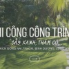 Thi công cỏ lá gừng khu công nghiệp – Đồng Nai, TP.HCM (Vũng Tàu), Bình Dương, Long An,…