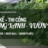 Dịch Vụ Thiết Kế & Thi Công Tường Xanh – Vườn Đứng Chuyên Nghiệp