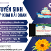 Tuyển Sinh Lớp Bồi Dưỡng Nghiệp Vụ Khai Hải Quan