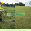 Dịch vụ cắt cỏ – cắt tỉa cây xanh định kỳ giá rẻ KCN Long Đức, Đồng Nai