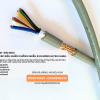 Đà Nẵng, Hà Nội phân phối cáp điều khiển chống nhiễu 4x0.5 Altek Kabel