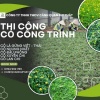  Thi công cỏ công trình chuyên nghiệp – đa dạng chủng loại, phủ xanh bền đẹp