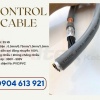 Cáp điều khiển 25x0.5/25x0.75/25x1.0/25x1.5 Altek Kabel - nhập khẩu trực tiếp