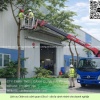 Dịch Vụ Cắt Cỏ, Cưa Cây Long Thành – Long Đức Đồng Nai Nhanh Gọn, An Toàn, Giá Tốt