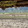ĐẤT ĐẸP - GIÁ TỐT CHÍNH CHỦ BÁN ĐẤT XÃ LÂM SƠN,  NINH SƠN -NINH THUẬN (Cũ)
