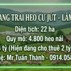 Siêu Trang Trại Heo 22ha - Thu Nhập cho thuê 24 Tỷ/Năm