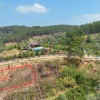BÁN NHANH LÔ ĐẤT XUÂN TRƯỜNG - CẦU ĐẤT, ĐÀ LẠT - 1000M2 - 2TỶ200TRIỆU