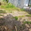 BÁN ĐẤT NỀN CHÍNH CHỦ GIÁ TỐT TẠI BÀU BÀNG – VỊ TRÍ ĐẸP, ĐƯỜNG BÀN CỜ, PHÙ HỢP XÂY NHÀ Ở HOẶC ĐẦU TƯ