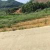 BÁN ĐẤT FULL THỔ CƯ TẠI MINH ĐÀI – TÂN SƠN – PHÚ THỌ