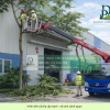 Dịch vụ chăm sóc cây xanh cắt cỏ cảnh quan nhà xưởng Đồng Nai chuyên nghiệp
