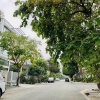 Cần bán nhà phố KDC Phú Mỹ, 126m2(6x21). Giá 23.8 tỷ.