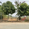 75m trục chính TĐC Linh Sơn mặt tiền 6m25, đường 10m vỉa hè 5m - 0332861467