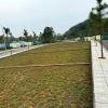 SIÊU PHẨM ĐẦU TƯ FO PHÚ CÁT SÁT CHỢ LONG PHÚ ĐÓN SÓNG QL21 METRO 05 100M NHỈNH 2TỶ