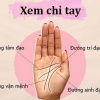 Cách xem chỉ tay sinh đạo đoán được vận mệnh và sức khỏe