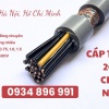Cáp Điều Khiển 20 x 0.75mm² cung cấp tại Hà Nội, Hải Phòng 