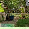 DỊCH VỤ CẮT CỎ – VỆ SINH CẢNH QUAN TẠI ĐỒNG NAI