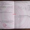 Mình chính chủ cần bán lô đất sào mặt tiền đường nhựa xã Bình Trung, Châu Đức, Vũng Tàu