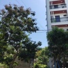 Bán Đất Nam Việt Á 100m², Sát Lô Góc Gần Sông, Vị Trí Đẹp, Giá 10,5 Tỷ
