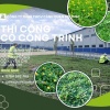 Dịch vụ trồng cỏ cảnh quan – thi công cỏ công trình tại Đồng Nai