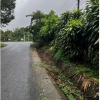 SỞ HỮU NGAY ĐẤT NHÀ VƯỜN ĐẸP – MẶT TIỀN ĐƯỜNG NHỰA – SẴN  VƯỜN CÂY ĂN TRÁI CHO THU HOẠCH