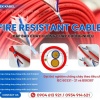 Dây cáp tín hiệu chống cháy, chống nhiễu 2x1.0mm2 /2x1.5mm2 Altek Kabel - Hà Nội, Đà Nẵng, HCM